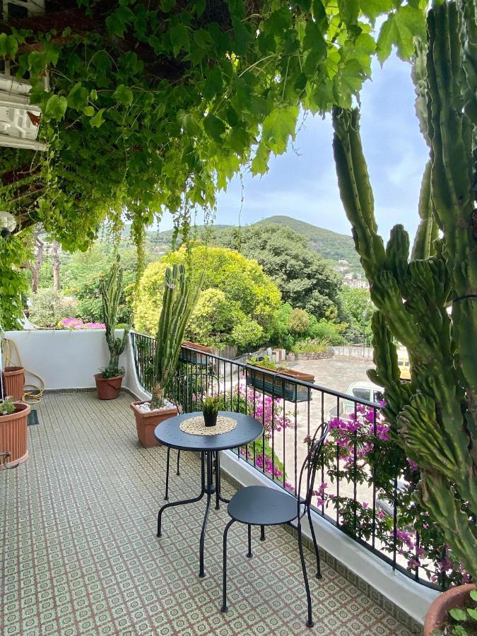 Casa Malo' Bed & Breakfast Ischia Exterior photo